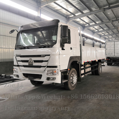 Sinotruk HOWO ελαφρύ κιβώτιο Truck Lorry Van Goods φορτηγών 290HP φορτίου καθήκοντος 4x2 βαρύ